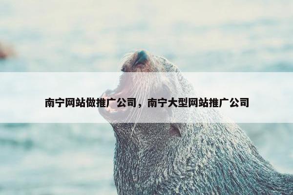 南宁网站做推广公司，南宁大型网站推广公司-第1张图片-冷动云
