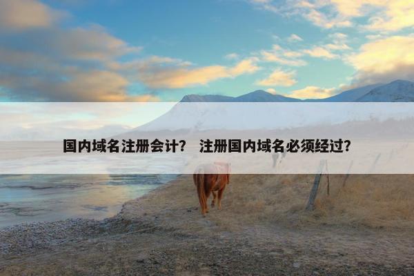 国内域名注册会计？ 注册国内域名必须经过？-第1张图片-冷动云