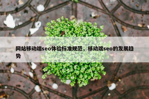 网站移动端seo体验标准规范，移动端seo的发展趋势-第1张图片-冷动云