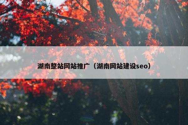 湖南整站网站推广（湖南网站建设seo）-第1张图片-冷动云