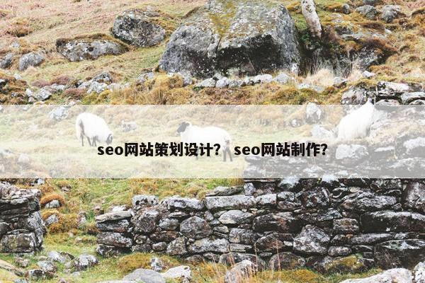 seo网站策划设计？ seo网站制作？-第1张图片-冷动云