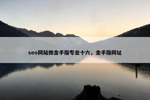 seo网站微金手指专业十六，金手指网址-第1张图片-冷动云
