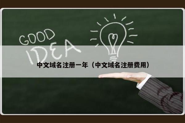 中文域名注册一年（中文域名注册费用）-第1张图片-冷动云