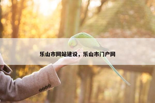 乐山市网站建设，乐山市门户网-第1张图片-冷动云