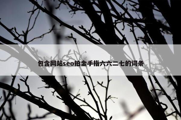 包含网站seo拍金手指六六二七的词条-第1张图片-冷动云