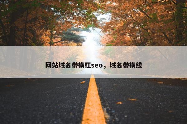 网站域名带横杠seo，域名带横线-第1张图片-冷动云