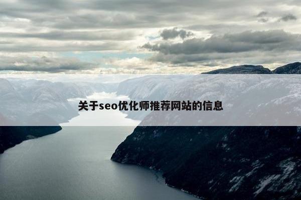 关于seo优化师推荐网站的信息-第1张图片-冷动云