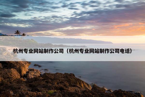 杭州专业网站制作公司（杭州专业网站制作公司电话）-第1张图片-冷动云
