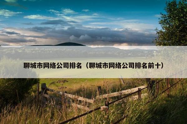 聊城市网络公司排名（聊城市网络公司排名前十）-第1张图片-冷动云