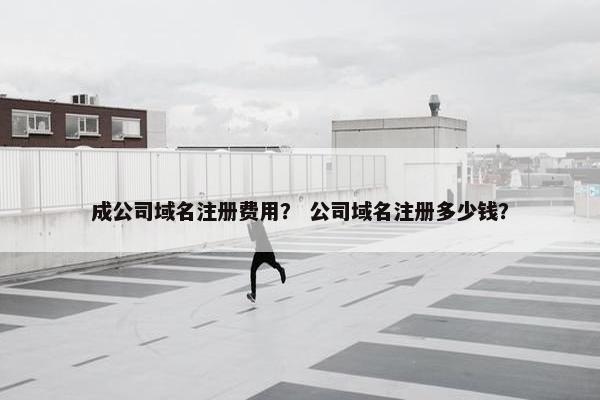 成公司域名注册费用？ 公司域名注册多少钱？-第1张图片-冷动云