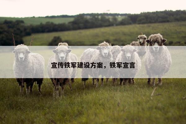 宣传铁军建设方案，铁军宣言-第1张图片-冷动云