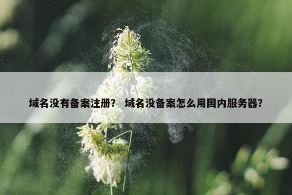 域名没有备案注册？ 域名没备案怎么用国内服务器？-第1张图片-冷动云