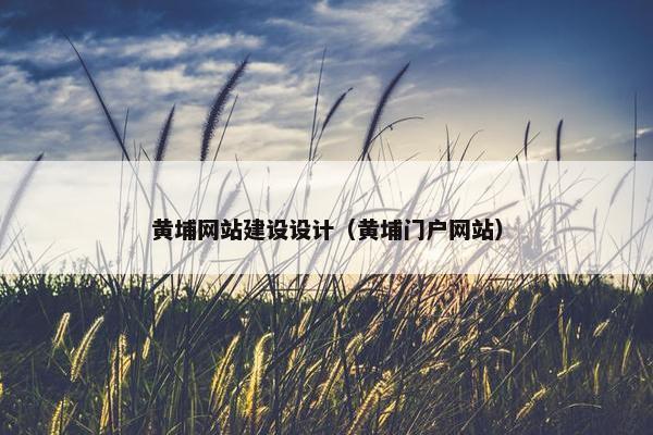 黄埔网站建设设计（黄埔门户网站）-第1张图片-冷动云