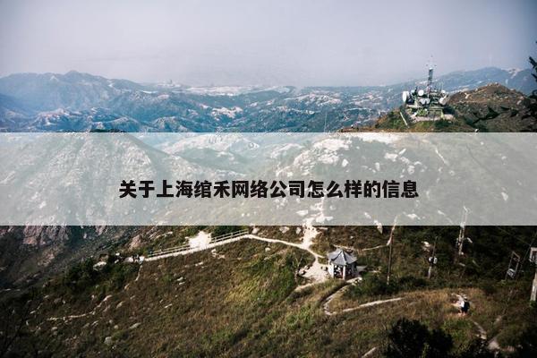 关于上海绾禾网络公司怎么样的信息-第1张图片-冷动云