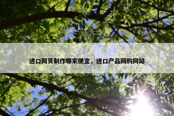 进口网页制作哪家便宜，进口产品网购网站-第1张图片-冷动云