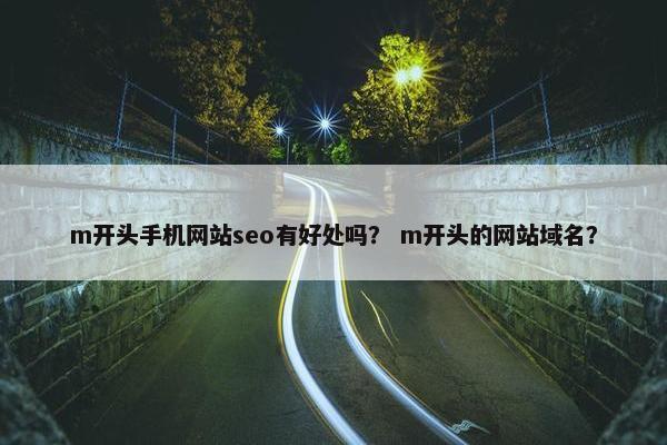 m开头手机网站seo有好处吗？ m开头的网站域名？-第1张图片-冷动云