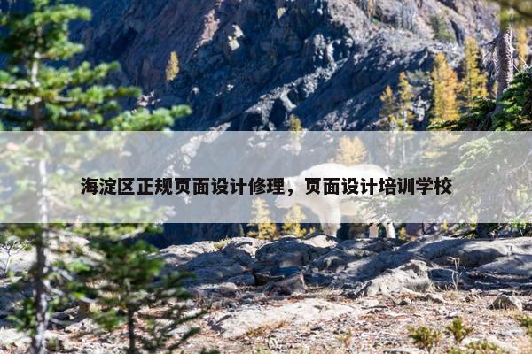 海淀区正规页面设计修理，页面设计培训学校-第1张图片-冷动云