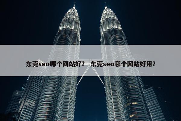 东莞seo哪个网站好？ 东莞seo哪个网站好用？-第1张图片-冷动云