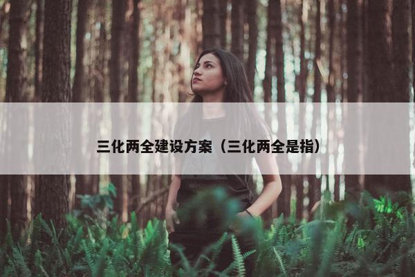 三化两全建设方案（三化两全是指）-第1张图片-冷动云