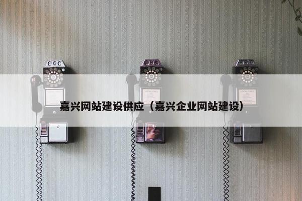 嘉兴网站建设供应（嘉兴企业网站建设）-第1张图片-冷动云