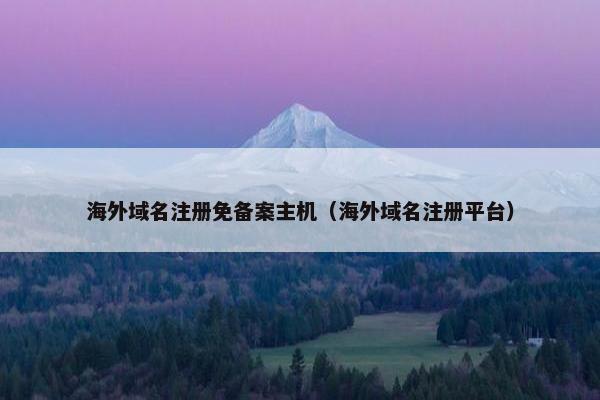 海外域名注册免备案主机（海外域名注册平台）-第1张图片-冷动云