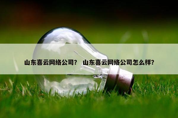 山东喜云网络公司？ 山东喜云网络公司怎么样？-第1张图片-冷动云