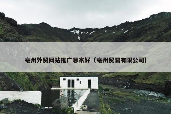 亳州外贸网站推广哪家好（亳州贸易有限公司）-第1张图片-冷动云