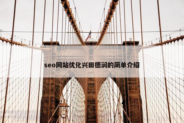 seo网站优化兴田德润的简单介绍-第1张图片-冷动云