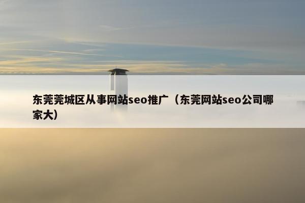 东莞莞城区从事网站seo推广（东莞网站seo公司哪家大）-第1张图片-冷动云