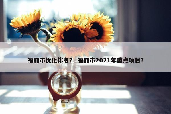 福鼎市优化排名？ 福鼎市2021年重点项目？-第1张图片-冷动云