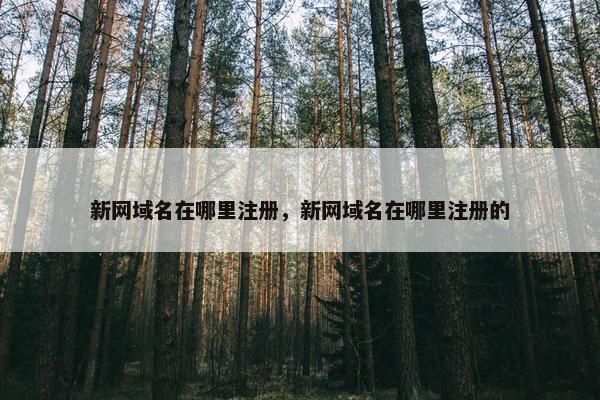 新网域名在哪里注册，新网域名在哪里注册的-第1张图片-冷动云