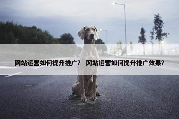 网站运营如何提升推广？ 网站运营如何提升推广效果？-第1张图片-冷动云