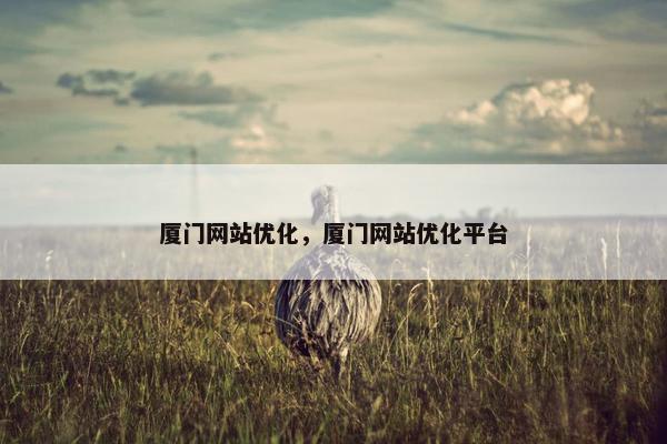 厦门网站优化，厦门网站优化平台-第1张图片-冷动云
