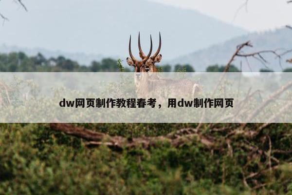 dw网页制作教程春考，用dw制作网页-第1张图片-冷动云