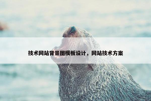 技术网站背景图模板设计，网站技术方案-第1张图片-冷动云