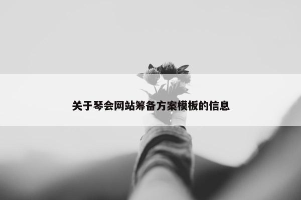 关于琴会网站筹备方案模板的信息-第1张图片-冷动云