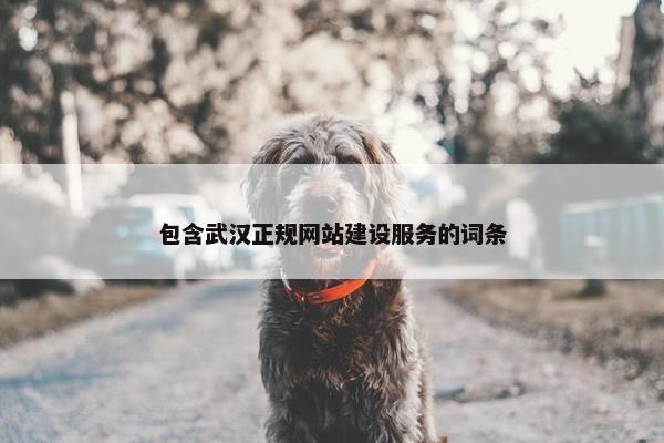 包含武汉正规网站建设服务的词条-第1张图片-冷动云