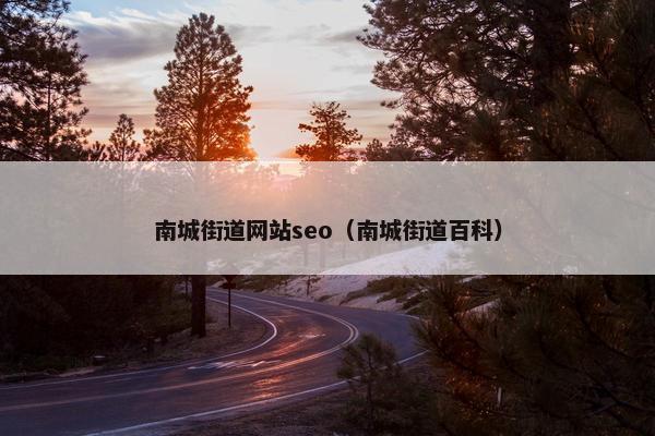 南城街道网站seo（南城街道百科）-第1张图片-冷动云
