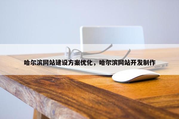 哈尔滨网站建设方案优化，哈尔滨网站开发制作-第1张图片-冷动云