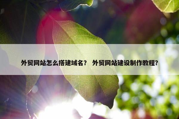 外贸网站怎么搭建域名？ 外贸网站建设制作教程？-第1张图片-冷动云