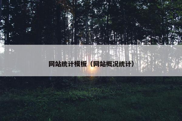 网站统计模板（网站概况统计）-第1张图片-冷动云