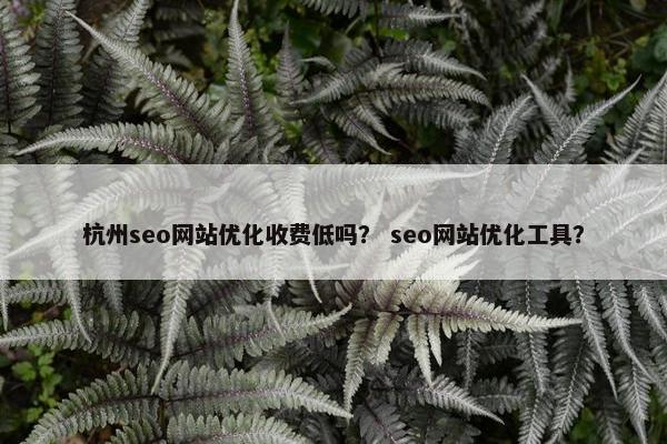杭州seo网站优化收费低吗？ seo网站优化工具？-第1张图片-冷动云