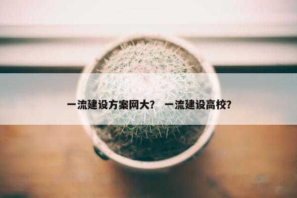 一流建设方案网大？ 一流建设高校？-第1张图片-冷动云