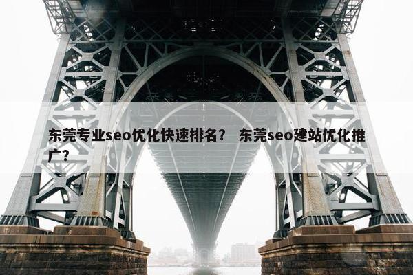 东莞专业seo优化快速排名？ 东莞seo建站优化推广？-第1张图片-冷动云