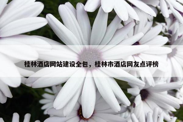 桂林酒店网站建设全包，桂林市酒店网友点评榜-第1张图片-冷动云