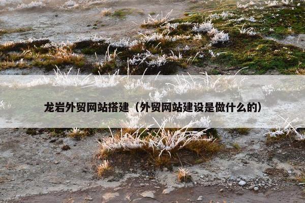 龙岩外贸网站搭建（外贸网站建设是做什么的）-第1张图片-冷动云