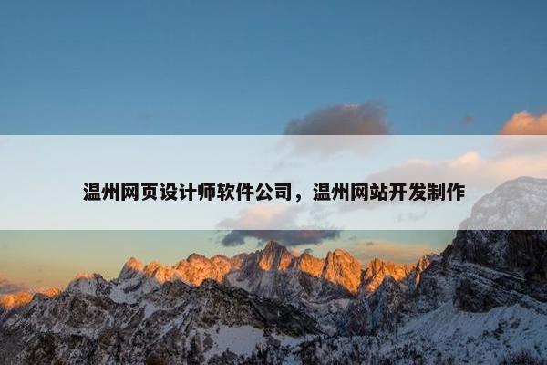 温州网页设计师软件公司，温州网站开发制作-第1张图片-冷动云