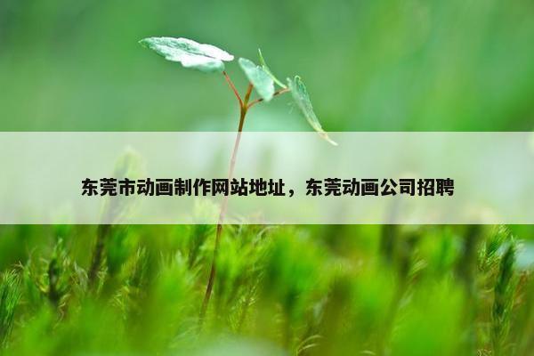 东莞市动画制作网站地址，东莞动画公司招聘-第1张图片-冷动云