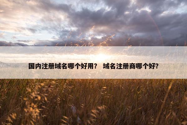 国内注册域名哪个好用？ 域名注册商哪个好？-第1张图片-冷动云