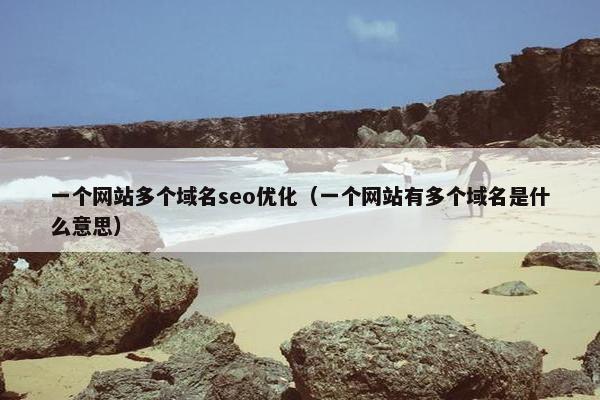 一个网站多个域名seo优化（一个网站有多个域名是什么意思）-第1张图片-冷动云